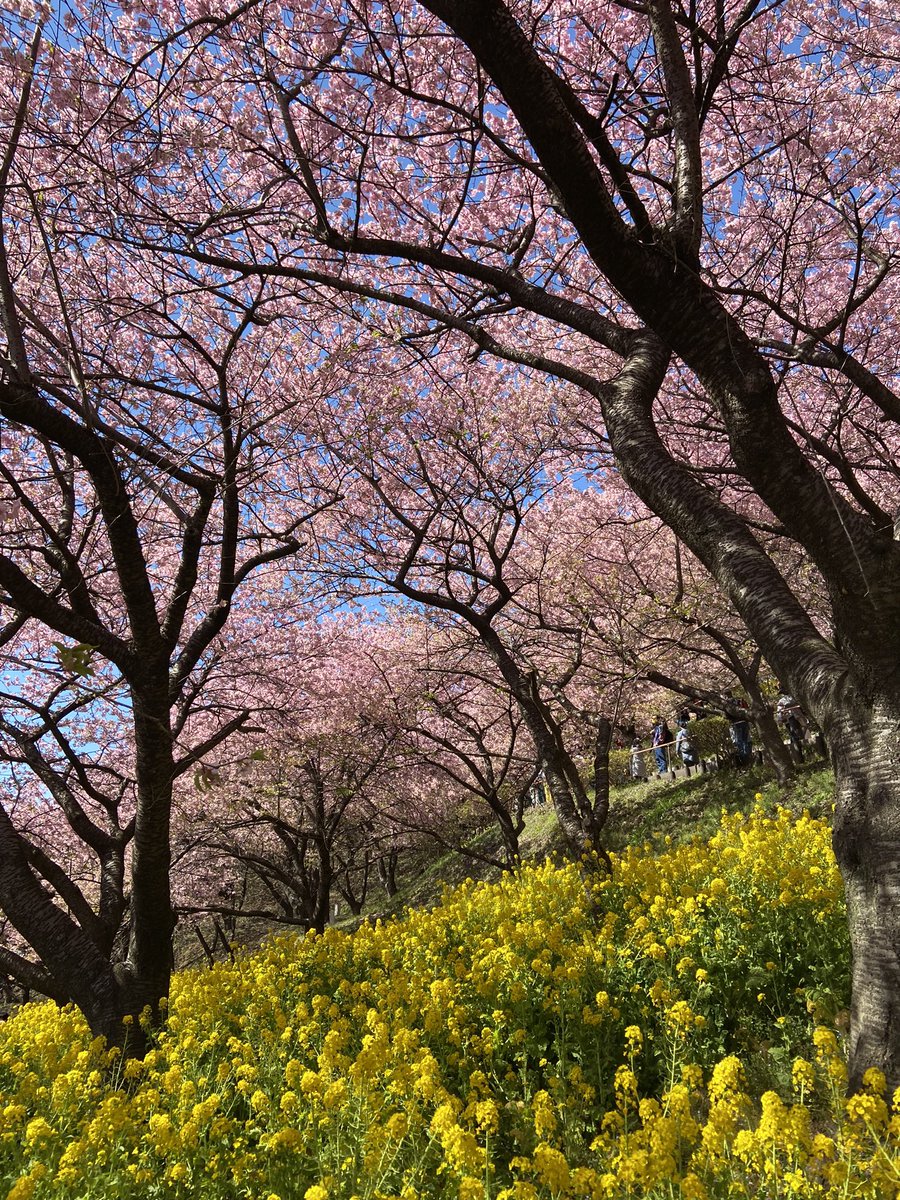 Blue S.I.B ☀️🌊🌊🌊🤙🏾 tweet media