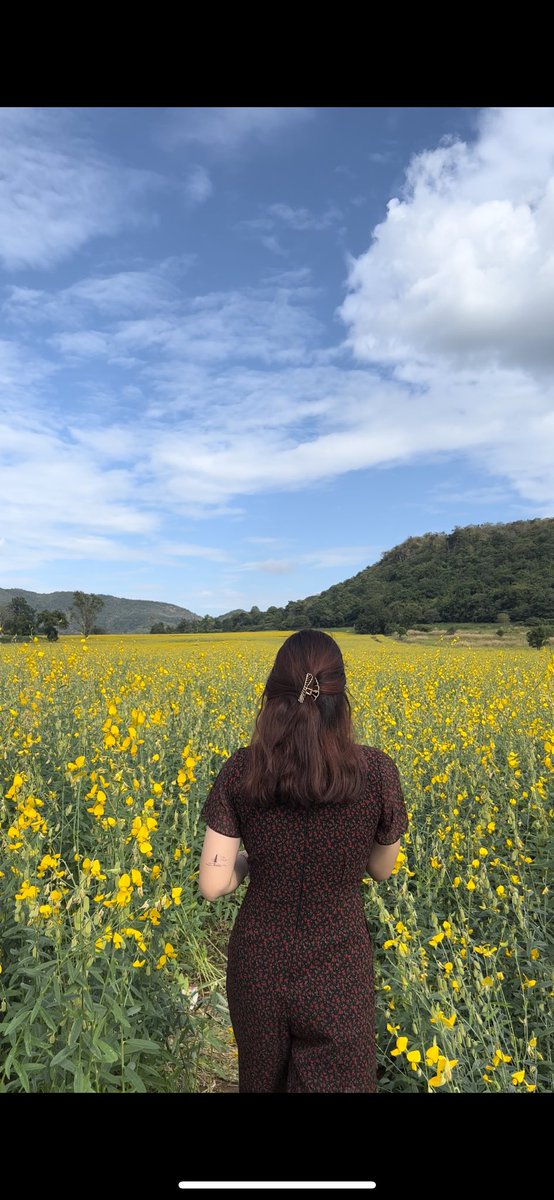 ariyariya's tweet photo. ความฝันจะทำโฮมสเตย์ 1 หลังที่บ้าน กลางทุ่งดอกทานตะวันเปิดให้คนมาแค่ 1 เดือนเพราะดอกทานตะวันออกแค่ช่วงนั้น เริ่มได้ 1/3/66  🌻🍃 https://t.co/e74JLoUwzC