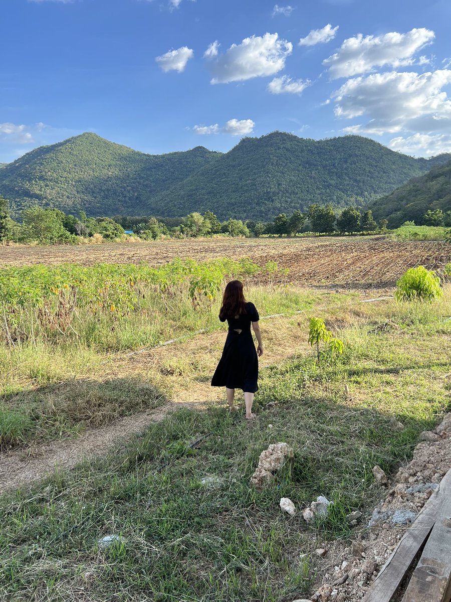 ariyariya's tweet photo. ความฝันจะทำโฮมสเตย์ 1 หลังที่บ้าน กลางทุ่งดอกทานตะวันเปิดให้คนมาแค่ 1 เดือนเพราะดอกทานตะวันออกแค่ช่วงนั้น เริ่มได้ 1/3/66  🌻🍃 https://t.co/e74JLoUwzC