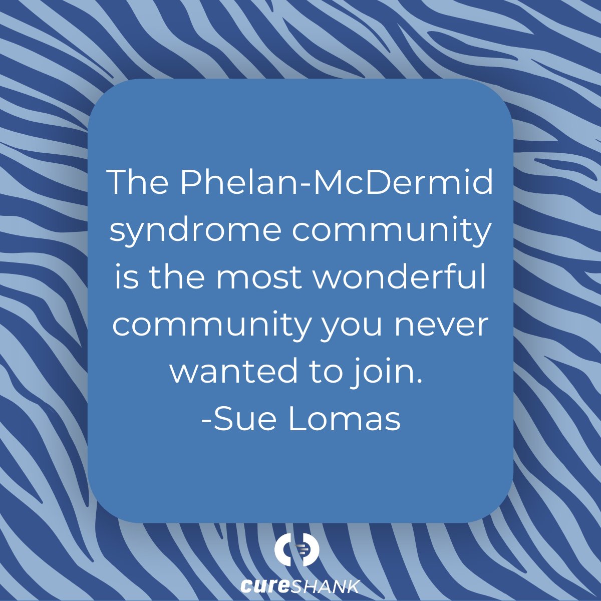 CureSHANK's tweet photo. At CureSHANK and PMSF, we are working to make life better for those with Phelan-McDermid syndrome. To paraphrase our close friend, Sue Lomas, founder of @PhelanMcDermidsyndromeFoundation: #showyourstripes #careaboutrare #rarediseaseday2023 #rarediseaseawareness #cureshank https://t.co/6tFuw79xkQ