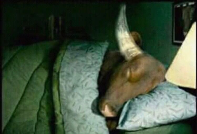 ella/el en su upd: 🥳🥳🥳
yo en mi cama: