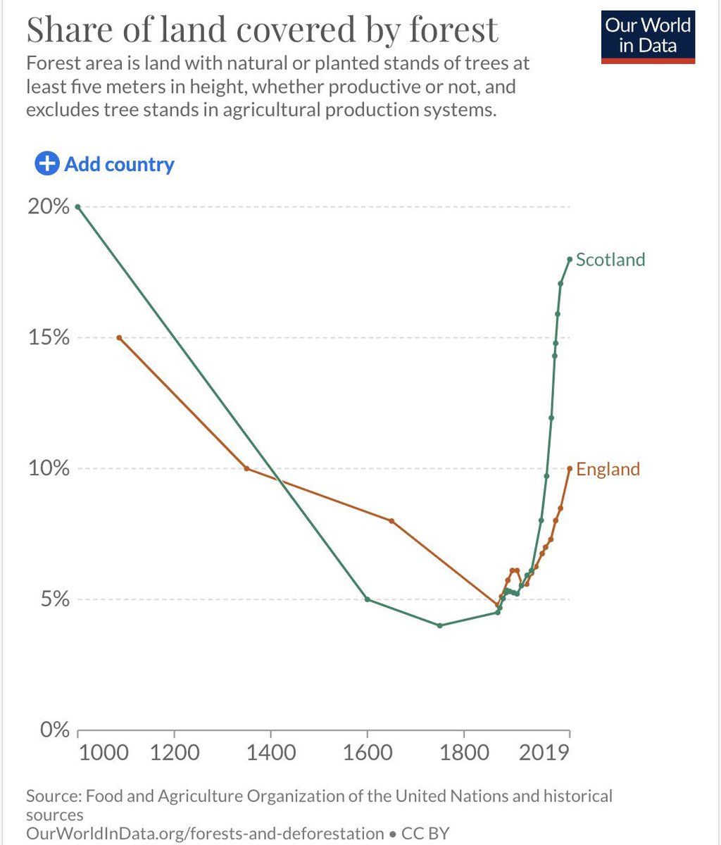 NATURE NOTE: Scotland now has nearly as much forest cover as it did 1,000 years ago. This is much needed good news.