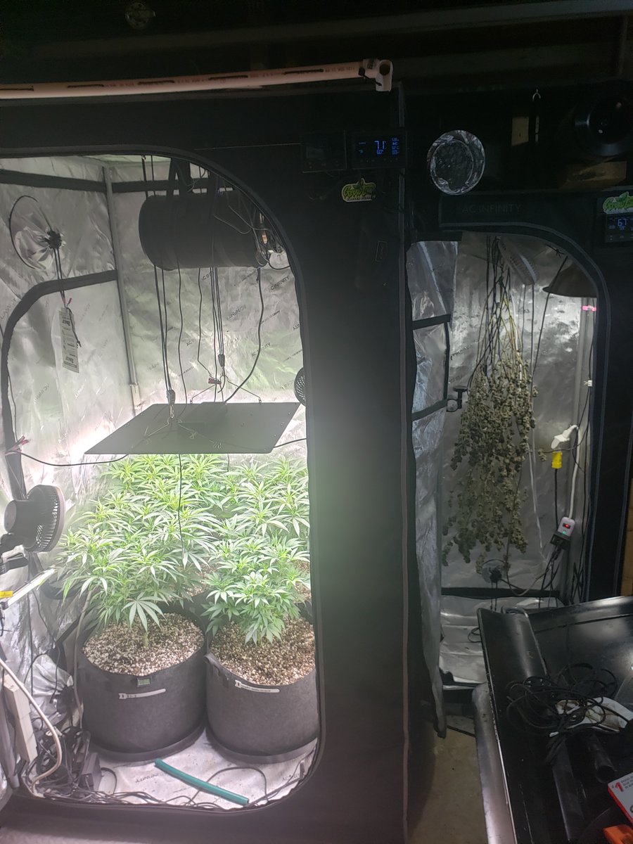 Pyedbryan's tweet image. Cycle of life