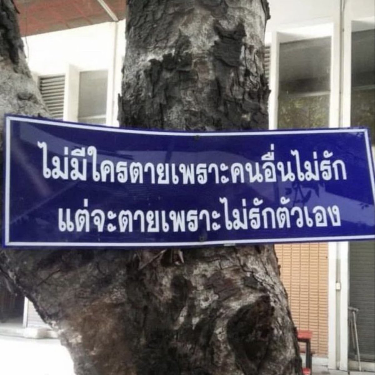 คนอยากเขียน. tweet media