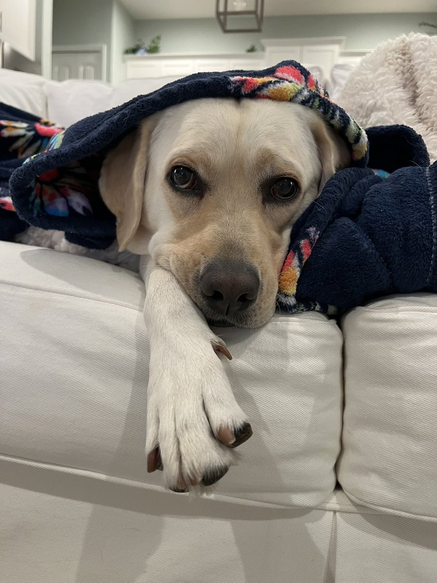 DailyNoriPics's tweet photo. I’ll just be waiting here while you finish work.. 😴🥱 https://t.co/GhdEM1P9O1