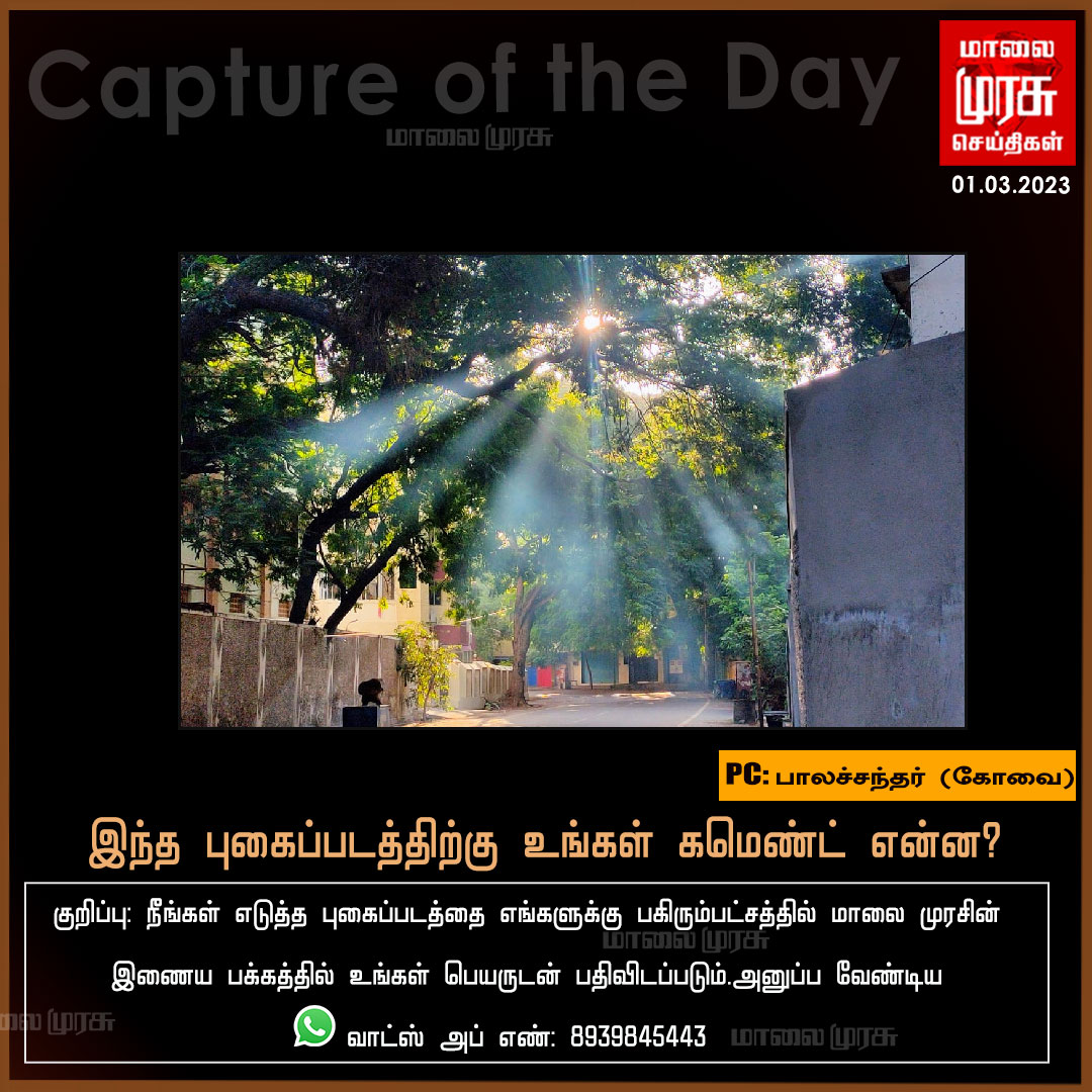 MalaimurasuTv's tweet photo. இந்த புகைப்படத்திற்கு உங்கள் கமெண்ட் என்ன?

#Captureoftheday | #Comments | #Malaimurasu https://t.co/aGXNId6YeP