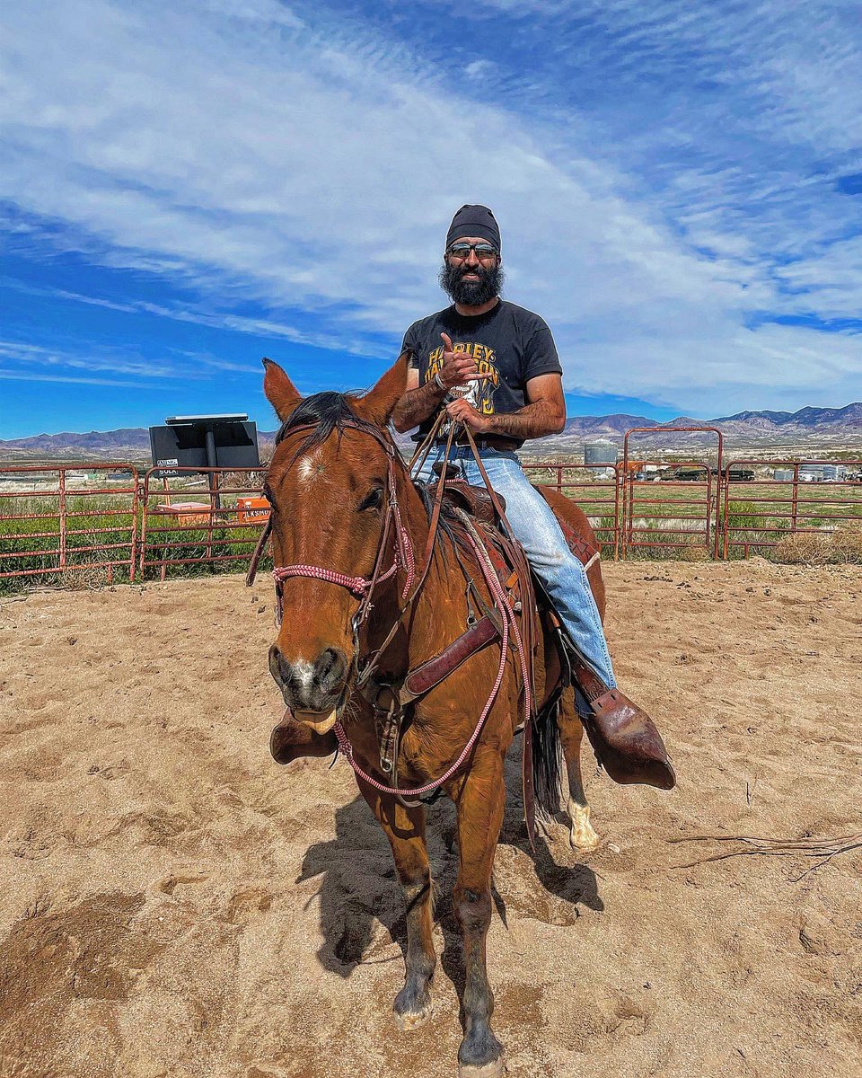 mulletfeller50's tweet photo. I didn’t tie my split reins in a knot, which means I can do that thing she likes… right? 🤙🏽♠️ https://t.co/e1DOAnEFue