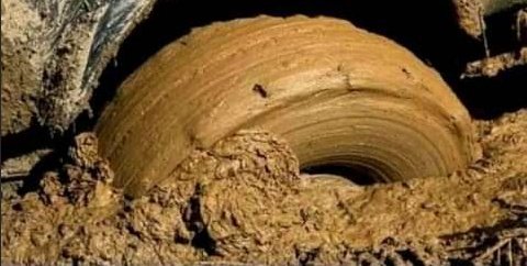 GathoniKuria_'s tweet photo. No! No! No &amp; No!#SayNoToLGBTQinKENYA Let's normalise being normal...even animals know what's sane. Male &amp; Female. Fullstop! "Adam and Eve" https://t.co/GANV882K0O