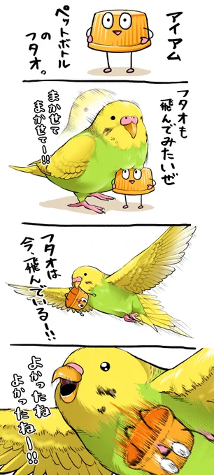 セキセイインコちゃんとフタオ 