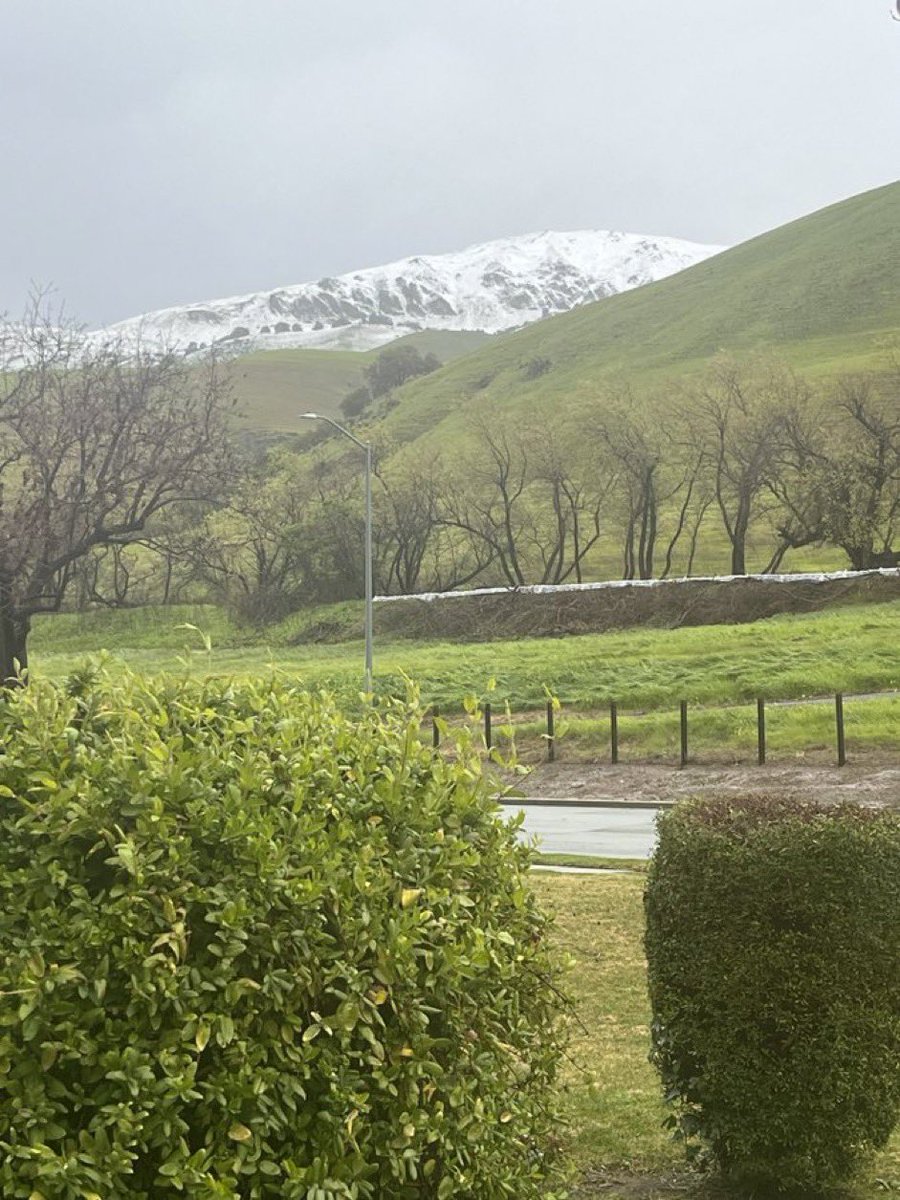 gauravpatwardhn's tweet photo. Rare and beautiful sight for #BayArea #SiliconValley #California transformed into Winter Wonderland โ๏ธ
#BayAreaSnow #SanFrancisco https://t.co/aaTH8Tmn0p