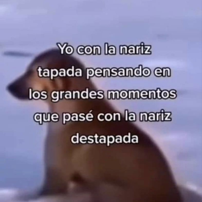 Guarromantico_'s tweet photo. https://t.co/2ju7t5YPGx