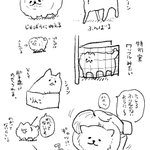 かわいすぎる!狂犬病予防接種動画のファンアート!