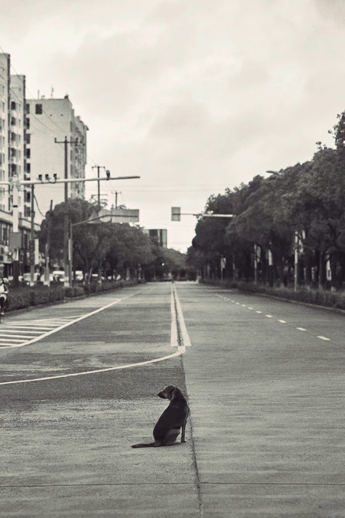 度过这个冬天，又春暖花开了！像从前一样……