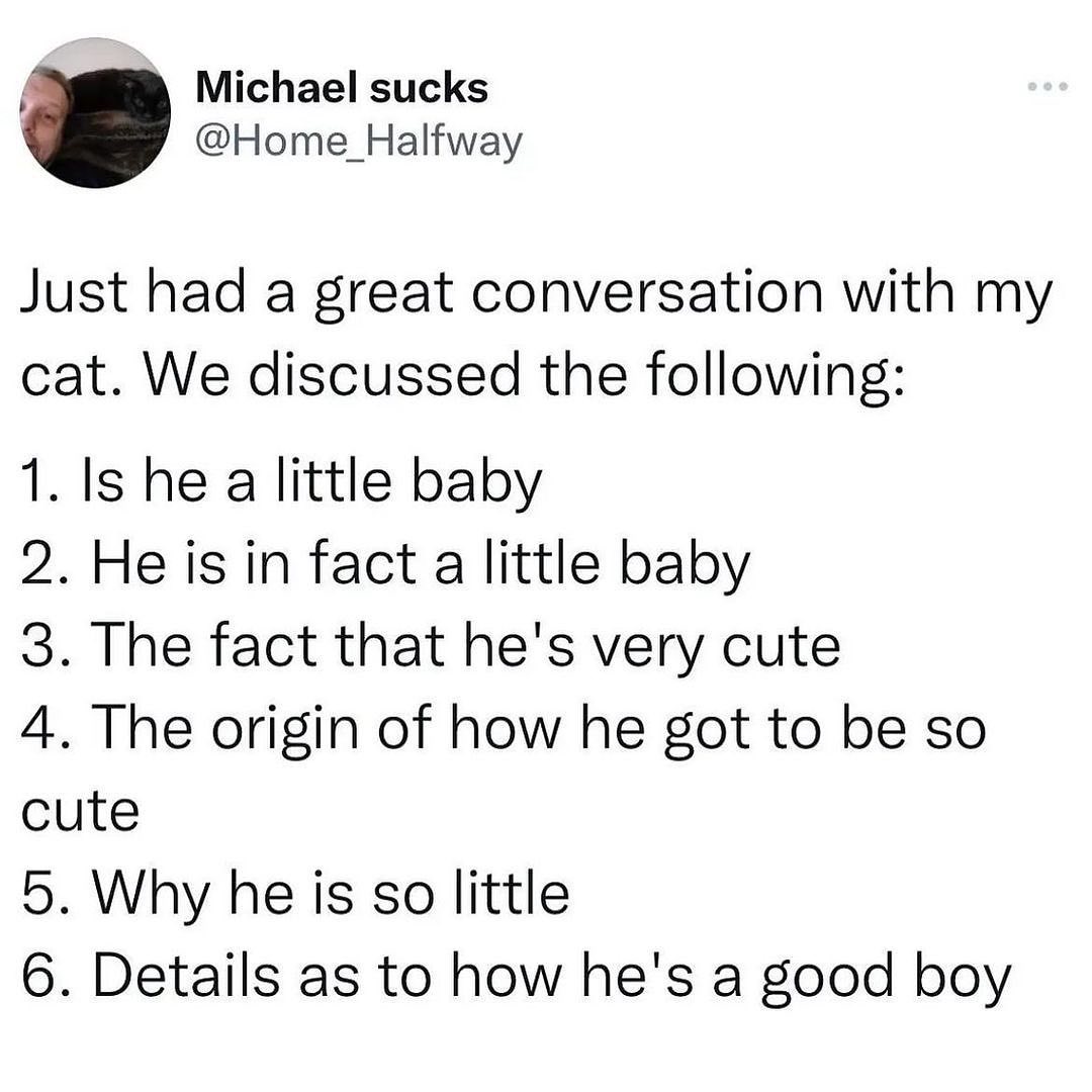 No notes! // <a href="/home_halfway/">Jokesmike</a> on Twitter

#ModCloth #catlovers #cutecats #catmemes #relatable