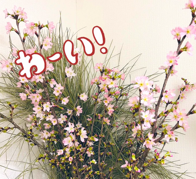 今日から3月ポラリスは明日のお昼更新だよ〜先週の更新も読んでなかったらぜひ! 