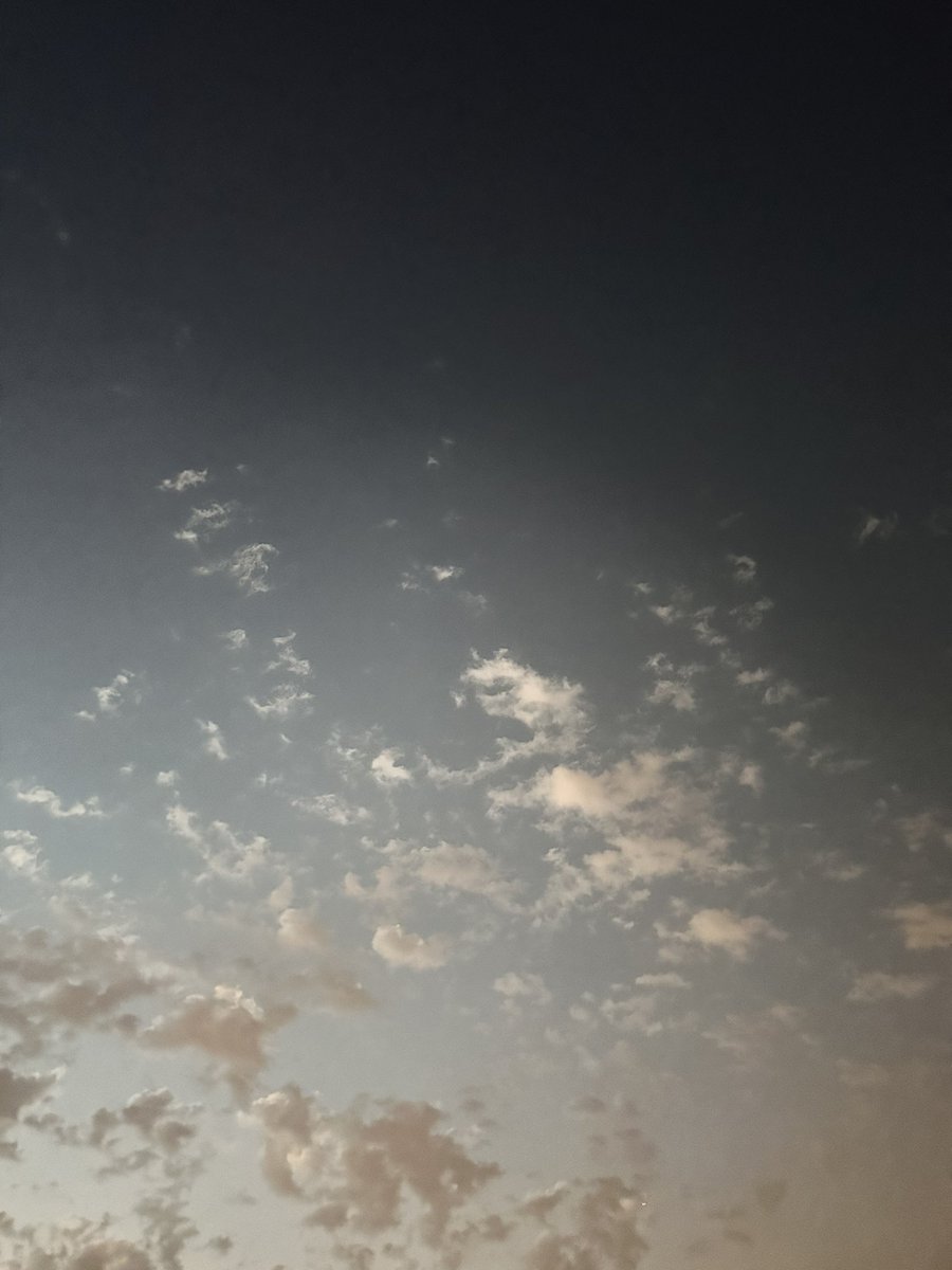 lamay_almadi's tweet photo. ✨🌥️🌥️✨

خلوة فجرية🪶✨

أستيقظت قرابة الفجر وكأن هناك ما يدعوني لهذه الخلوة بالهواء الطلق ✨
امضيتها بصمت وانا انصت و استمع لجمال هذه المعزوفه الكونيه الصامته المحمله بزقزقة العصافير ، مع كوب من شراب النعناع🍵
لاختتم هذا الفجر وفي لحظات الشروق بيو��ا الساعة الروحية مع شدانا https://t.co/4iqcbXAfR0