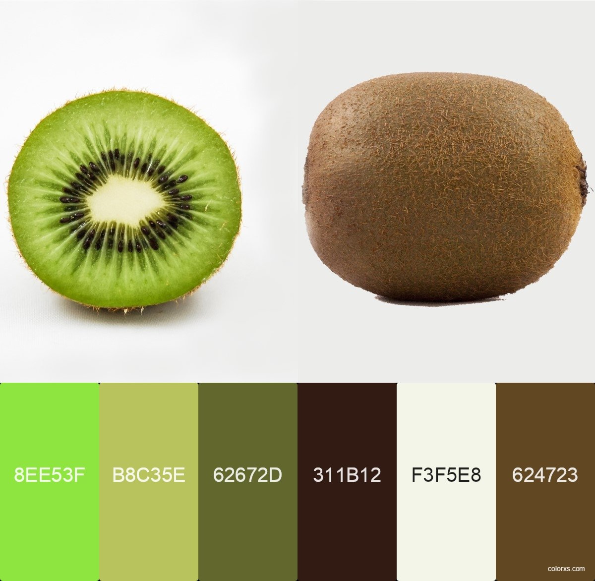 colorxscom's tweet photo. Kiwi Green color palettes and color scheme combinations https://t.co/e4VofQB10i

#palette #colorpalette https://t.co/D3U9DQep96