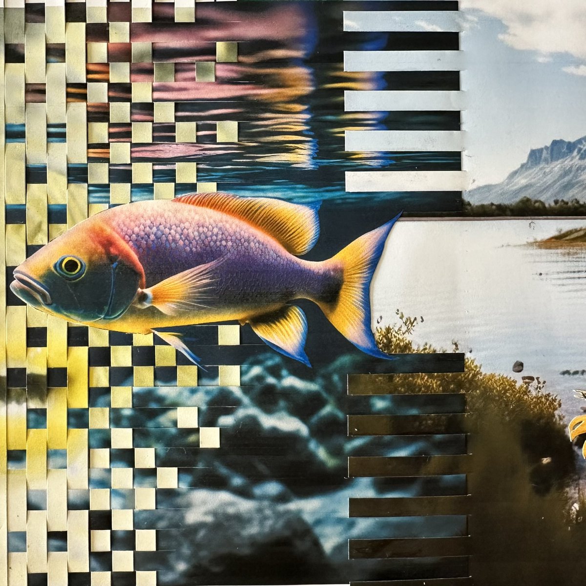 Future Fish

#Februllage #februllage2023 #loop #finished #notfinished #analogcollage #collageart #wovencollage #handmadecollage #papercollage