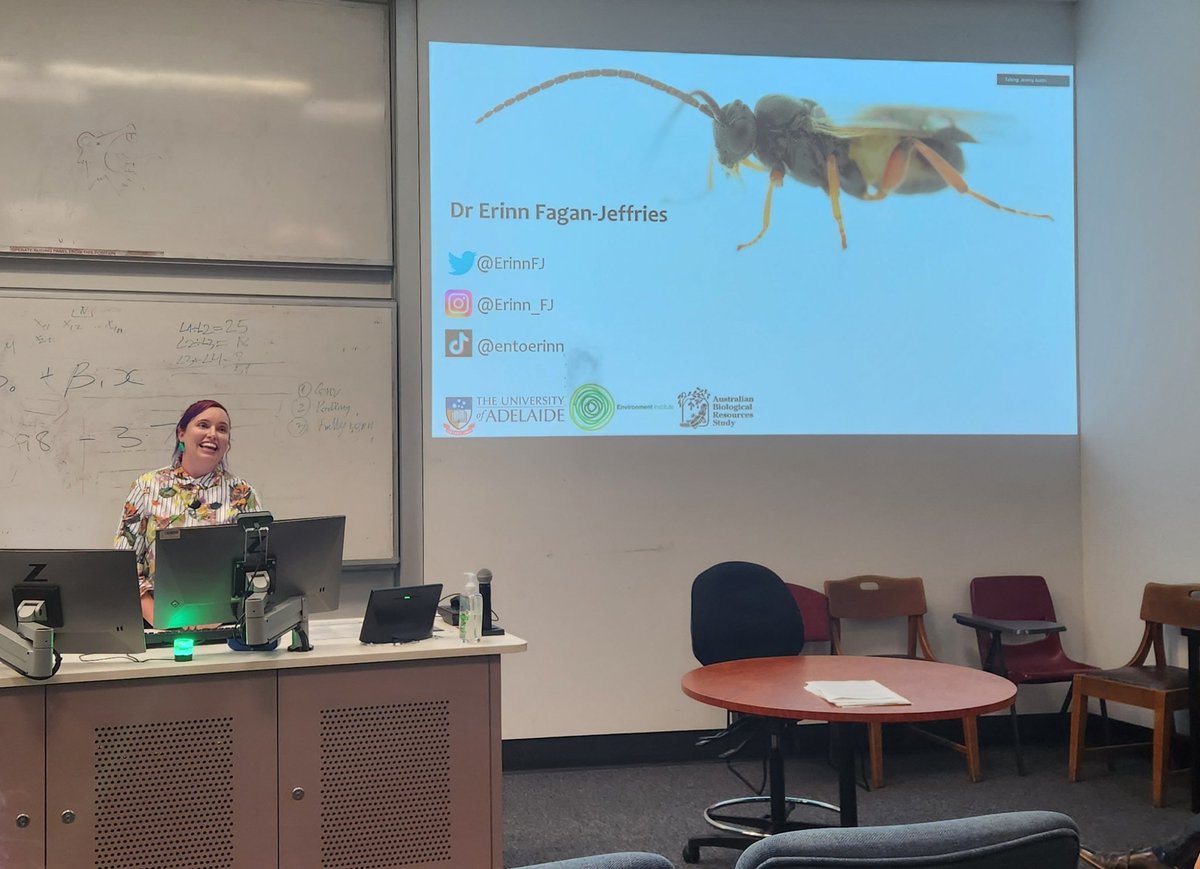 Amazing talk at the @UofA_SET ecology and evolutionary biology department seminar by @ErinnFJ today! She presented a synopsis of the huge @InsectInvestig8 project that she's led over the past two years 🐜🐝🪲🐞🦗 #science #research #CitizenScience