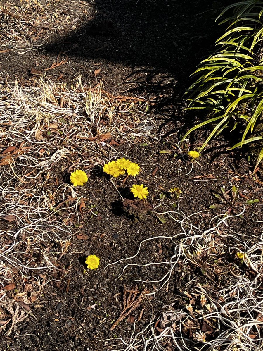 最近暖かい日が続き春を感じますねー🌼🤟✨
恒例のお朔参りもとってもいいお参りでした😊⛩✨
#塩竈
#塩釜
#仙台
#宮城
#東北
#どんどん焼き
#お好み焼き
#焼きそば
#ランチ
#テイクアウト
#宮城県
#東北グルメ
#宮城県グルメ
#宮城観光
#東北観光
#鹽竈神社
#塩竈神社
#お朔参り
#御朱印帳
#神社巡り