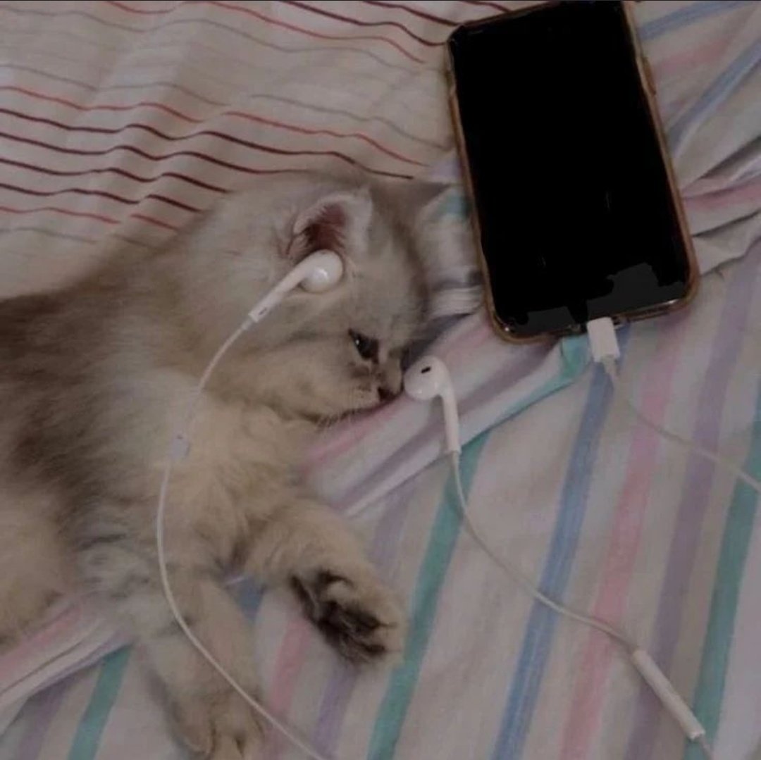 hannitori's tweet photo. yo escuchando subliminales dsp d atracarme o pasar mi intake https://t.co/zLtKx4KF0B
