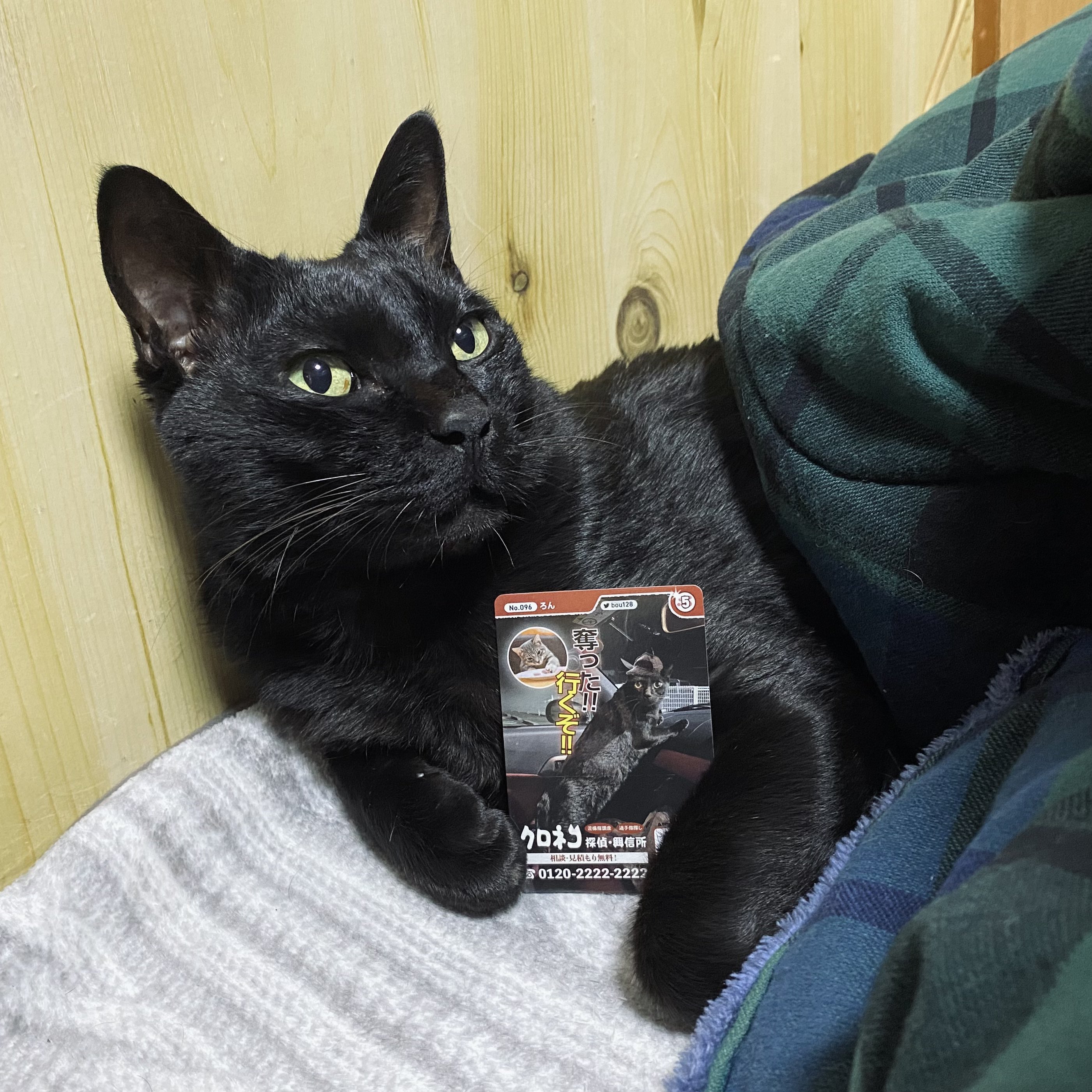 くろ猫 ♪様 専用ページ SCO-44/DH-