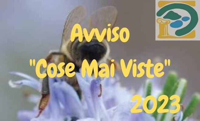 ParcoCastelli's tweet photo. Torna #CoseMaiViste, il calendario delle attività del #parocastelliromani in collaborazione con le associazioni del territorio. Per definire un programma articolato, l’Ente offre l’opportunità di presentare iniziative da inserire nel calendario. Scopri 👉https://t.co/1h81ULHO95 https://t.co/jj5308ELdD