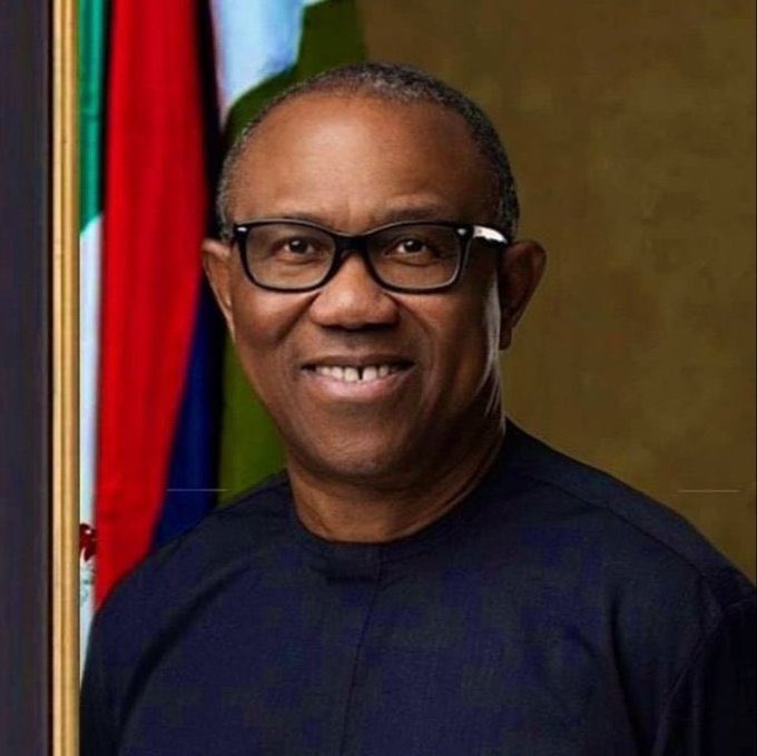 On his mandate I stand 🇳🇬❤️ @PeterObi #electionresults2023 #PeterObi2023