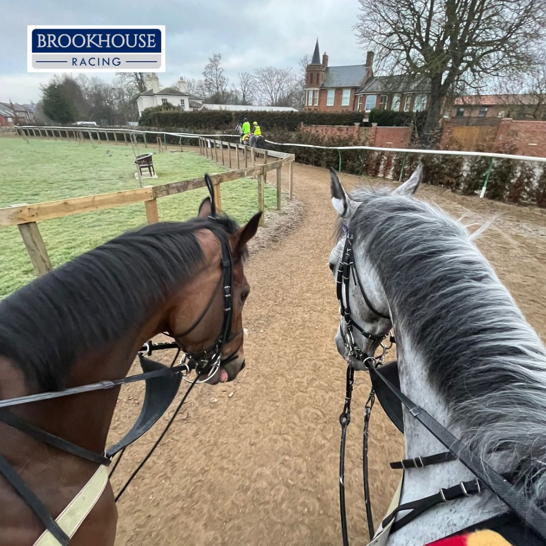 BrookhouseRacin's tweet image. Working together…

𝙍𝙚𝙨𝙚𝙩 𝘽𝙪𝙩𝙩𝙤𝙣 with 𝙍𝙖𝙮𝙖 𝙏𝙞𝙢𝙚, first lot out. 

#BrookhouseRacing #RayaTime #ResetButton