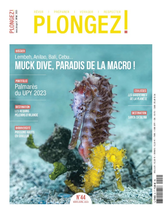 Au sommaire du N°44 de Plongez ! plongez.fr/sommaire-n44/#…