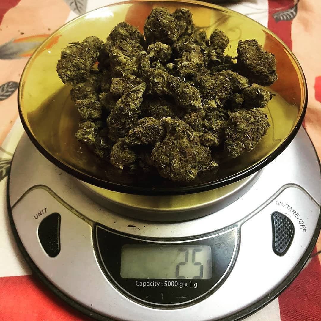 GillesRatel's tweet photo. Contact me ongoing….  New species…  Only Green #Bachmoet #Succes #Expert #Stephan #amsterdamwhore #Amsterdam #amster https://t.co/34kfEnviwz