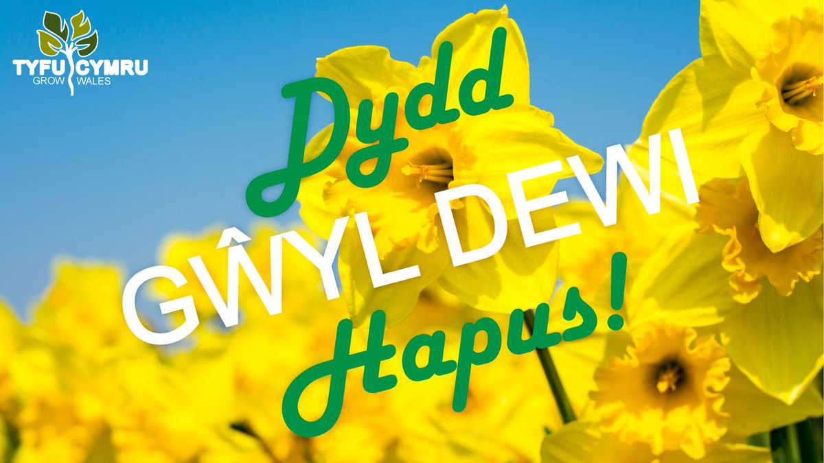 🏴󠁧󠁢󠁷󠁬󠁳󠁿 #DyddGŵylDewi Hapus! Happy #StDavidsDay! 🏴󠁧󠁢󠁷󠁬󠁳󠁿