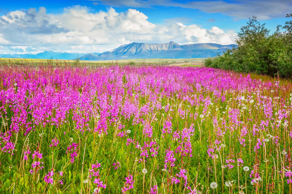 Debbie Shiffer Photography 📸🥾🎒🏕 tweet media