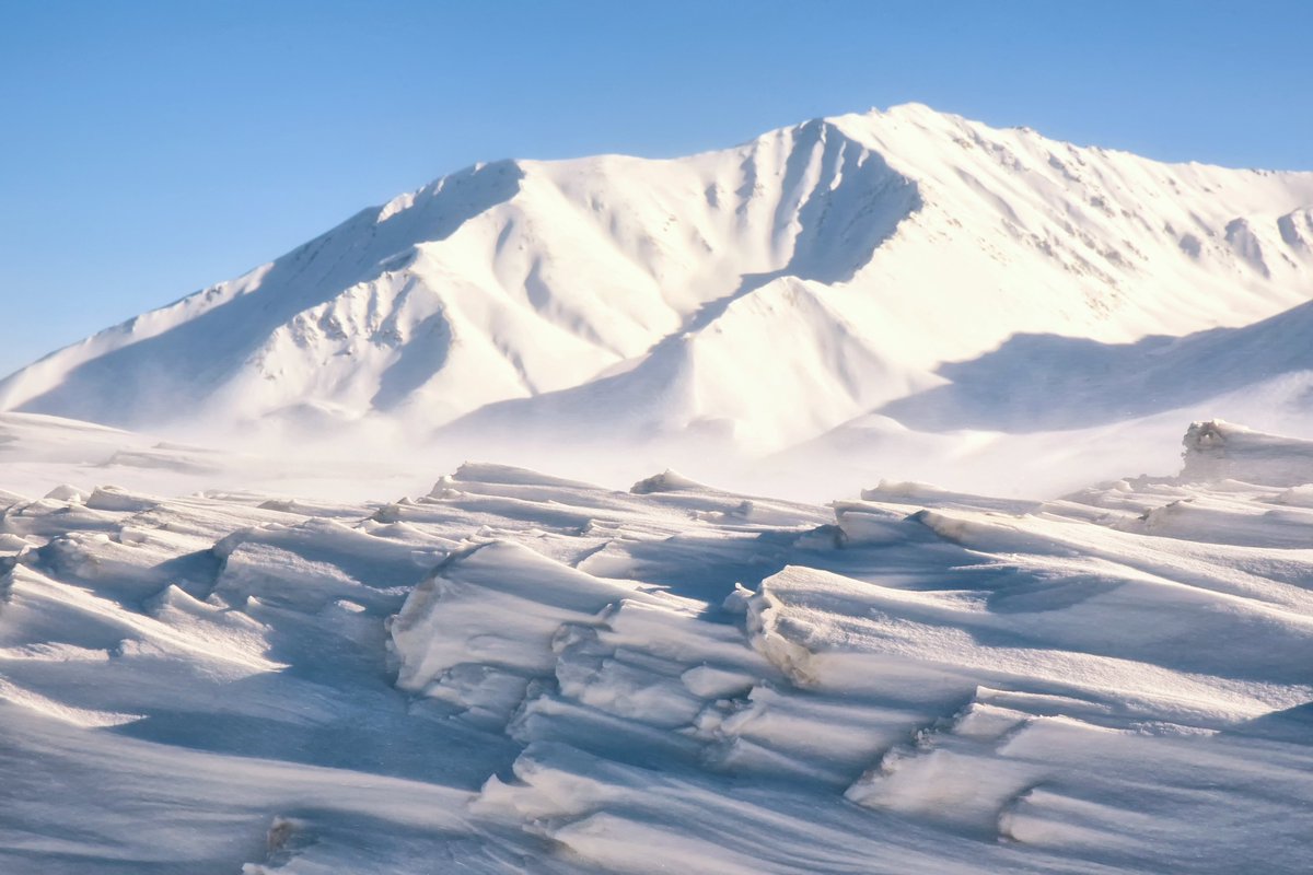 Debbie Shiffer Photography 📸🥾🎒🏕 tweet media