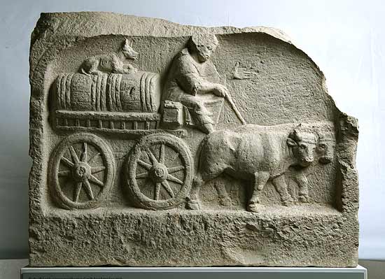 A marvellous scene of daily life for #ReliefWednesday: A #Roman funerary relief depicting the transport of two (wine?) barrels on a four wheeled chariot pulled by two oxen. A #dog, probably the driver's beloved companion, is sitting on the barrels. 1/2 

#RomanArchaeology