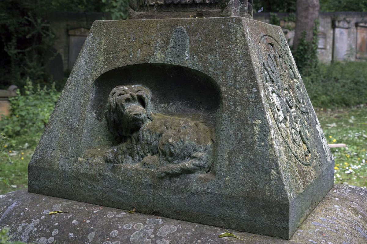 Alan Wilson tweet media