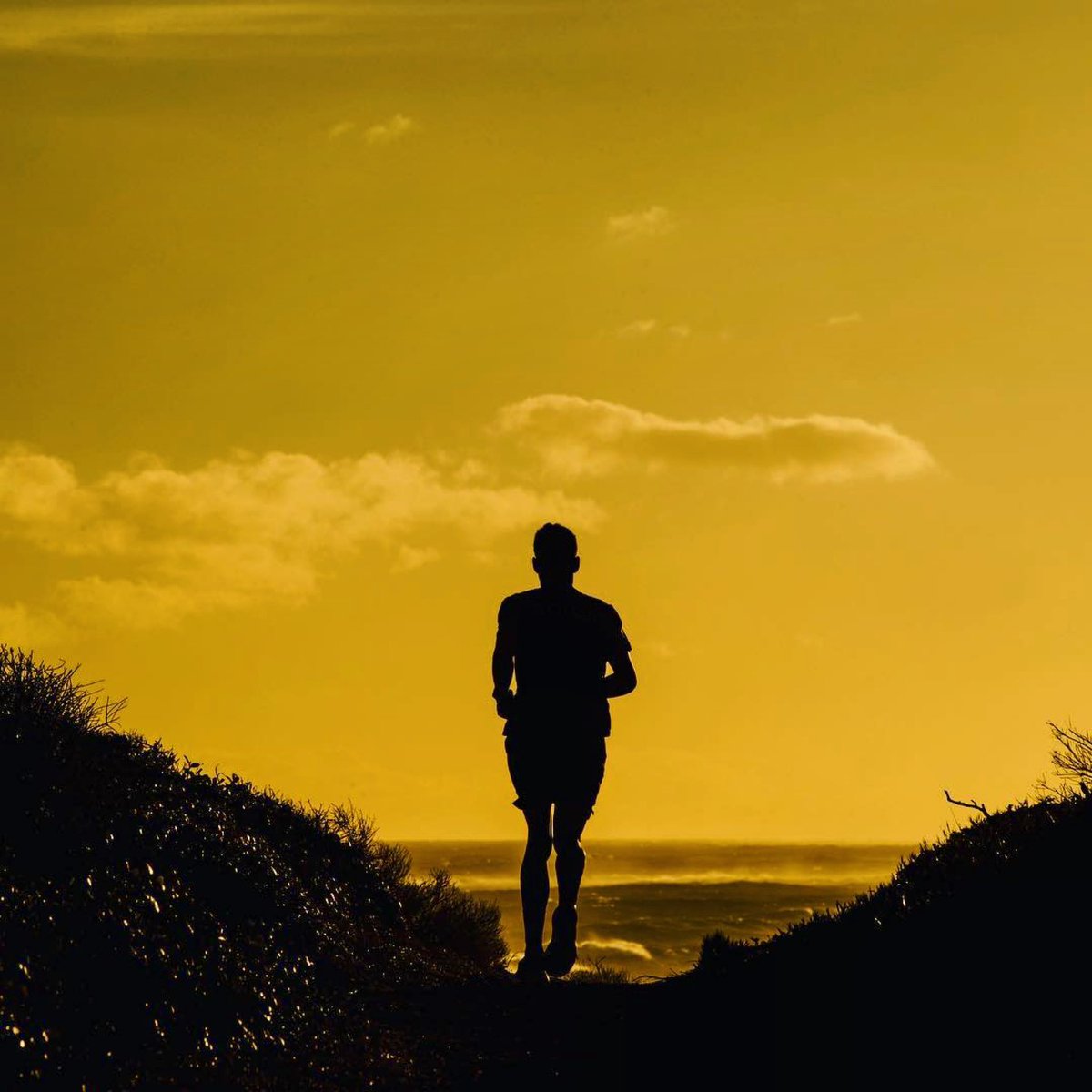 No better time than now… off the couch and out the door with #theturbine! 

#breathe #nasalbreathing  #fromwhereirun #run