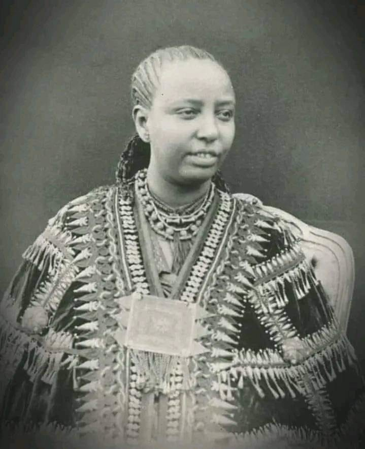 addisadmass tweet media