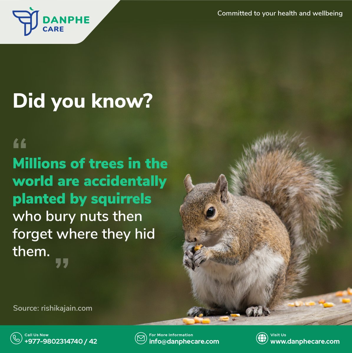 danphecare_ofcl's tweet photo. #DidYouKnow #didyouknowfacts #ecosystem #plants #trees #squirrel #nuts #danphecare https://t.co/3qGfnFpYQ1