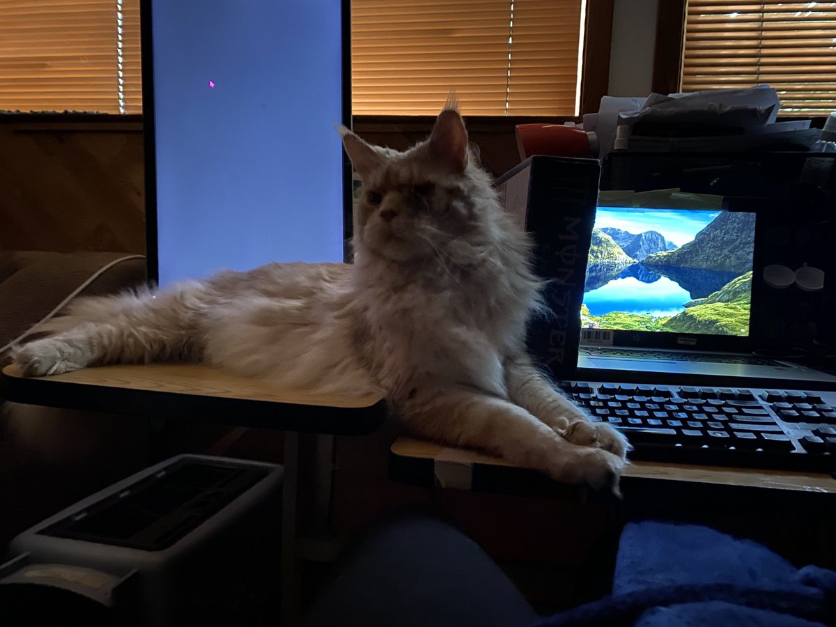 candyk_2011's tweet photo. Telecommuting since the pandemic https://t.co/gUaGiSiY7c