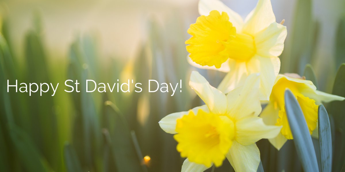 Dydd Gŵyl Dewi Hapus!

#Wales #Welsh #StDavidsday #WelshBusiness