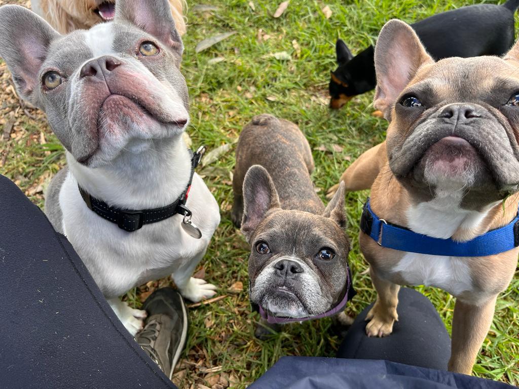 Meeting our friends❤️