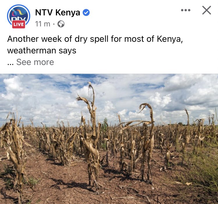 Horn of Africa is one of the regions most vulnerable to climate change and extreme weather events,Five straight failed rainy seasons have killed millions of livestock, destroyed crops, and forced over one million people from their homes.