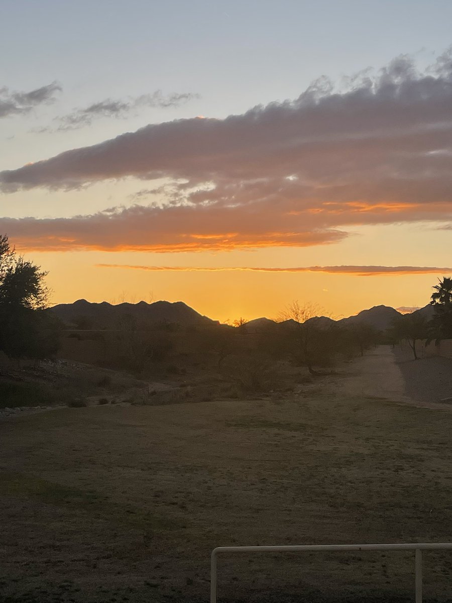 GN 🌵

You are worth more than you will ever know

Will look to see you again tomorrow