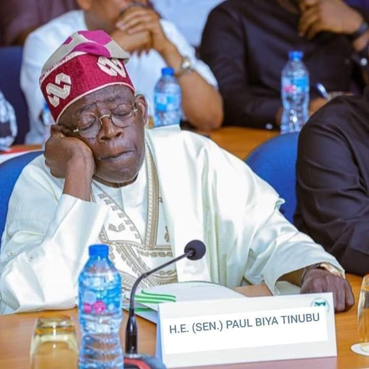 roba_eli's tweet image. Congratulations to Nigeria people for electing a new president.😂😂