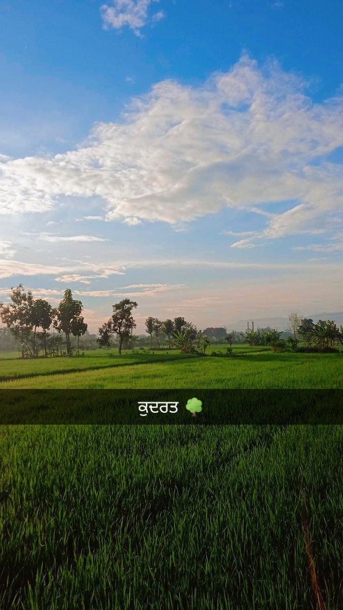 ਮੇਰਾ ਦੇਸ਼ ਹੋਵੇ ਪੰਜਾਬ  🌳 🌾