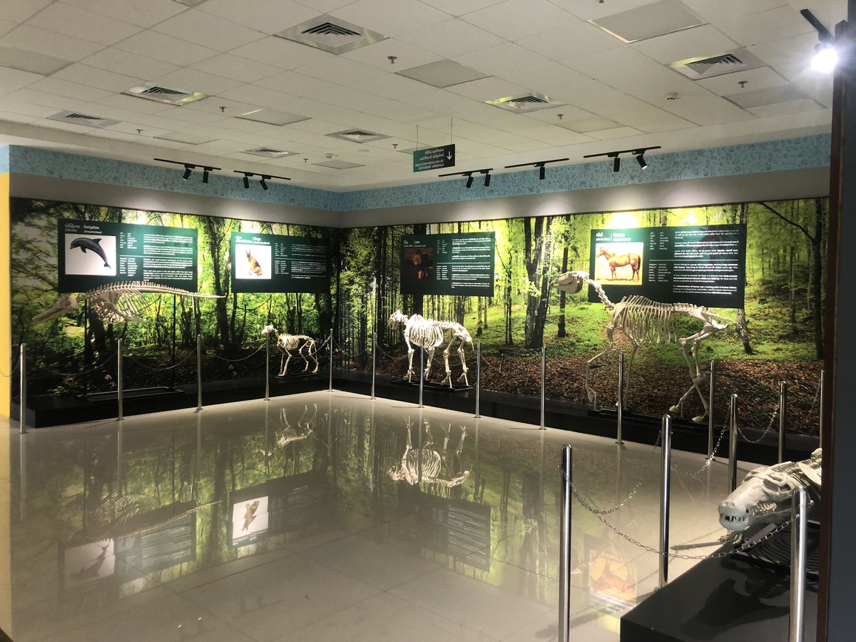 nirmal0199's tweet photo. Want to know about Animal life?
Must visit @RSCBhavnagar . The Bioscience Gallery contain more information about animals and their habitat. #BioscienceGallery https://t.co/9GfAbofdHo