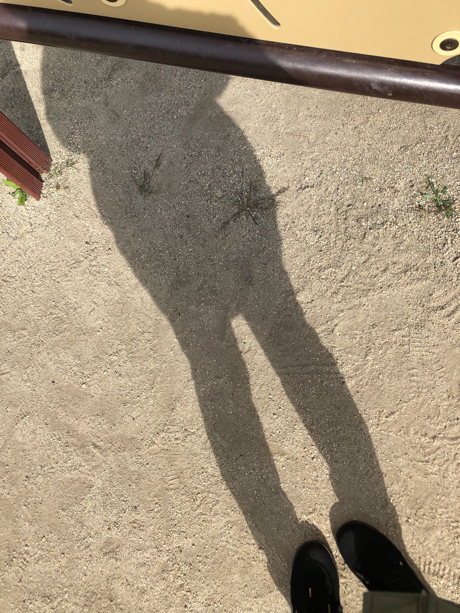 我が衣手に 雪は降りつつ 