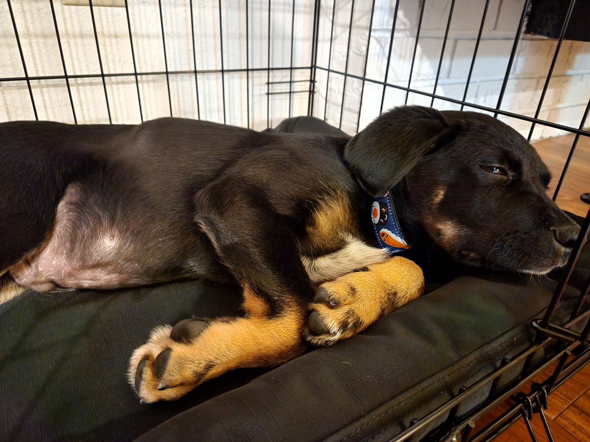 Ryan Hartman tweet media