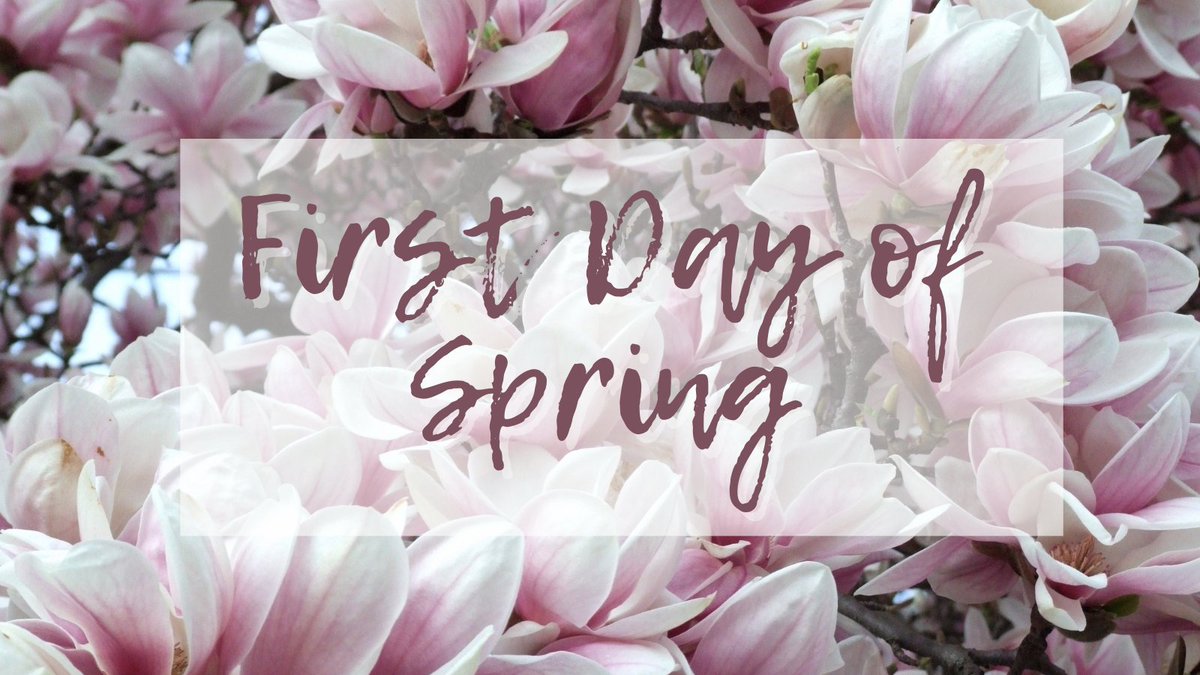 It's officially #spring! Here's to warmer weather (yes, it gets cold in #California), sunnier days, and #SpringBreak!🌸

What does the start of spring look like for you? Let us know in the comments⬇️

#CAGirlState #CAGS